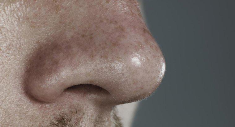 Ce cauzează răni în nas?