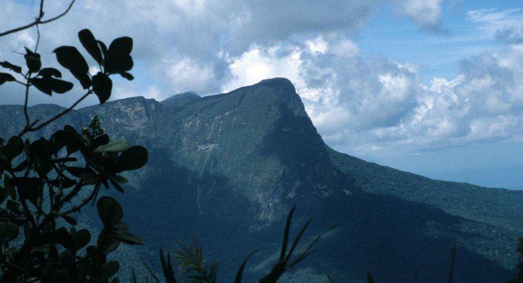 Care este cel mai înalt munte din Brazilia?