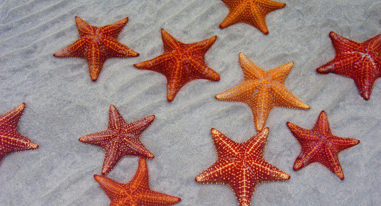 Cum inspiră Starfish?