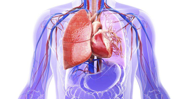 Ce este un anevrism aortic?