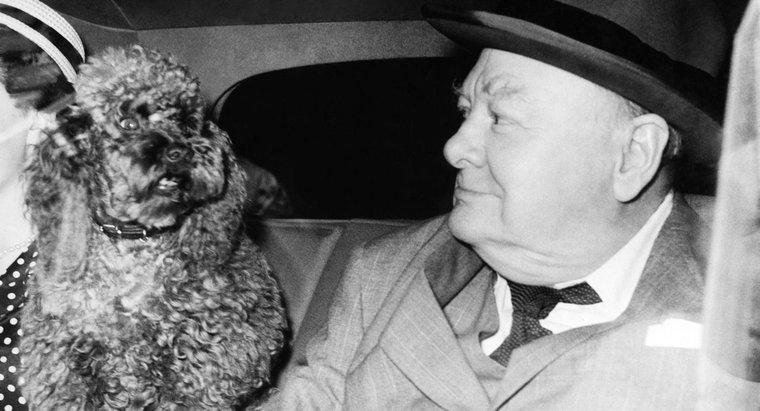 Cine a fost Winston Churchill și de ce a fost el faimos?