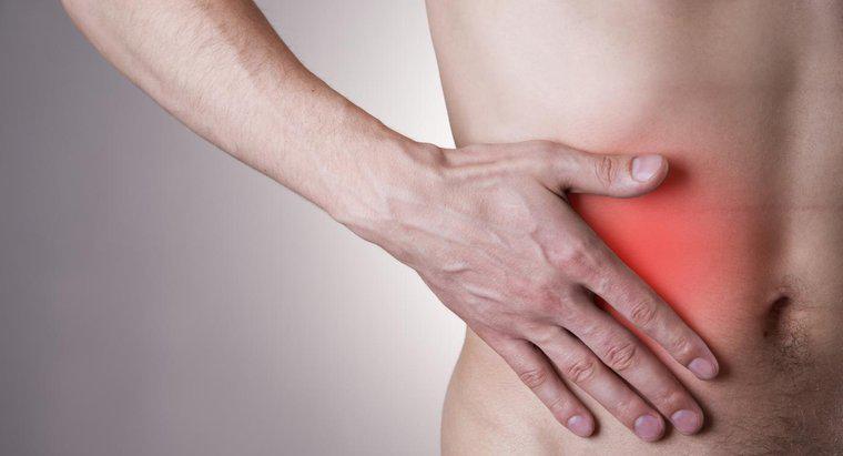 Care sunt simptomele de apendicită la adulți?