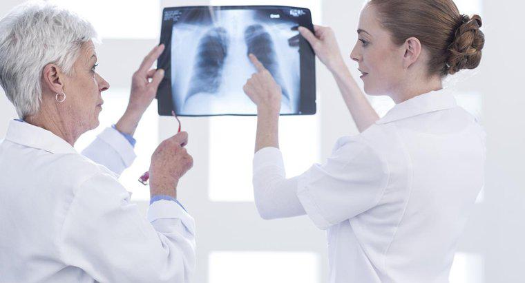 Ce fac plămânii în sistemul respirator?