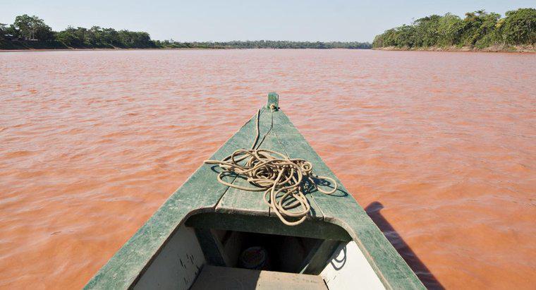 Unde este gura râului Amazon?