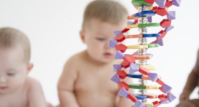 Pot tulbura tulburările genetice?