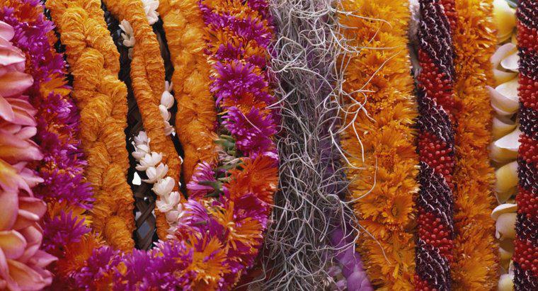 Ce este un colier de flori hawaiian numit?