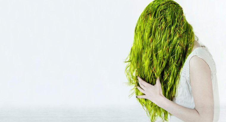 Cum scap de părul verde de clor?