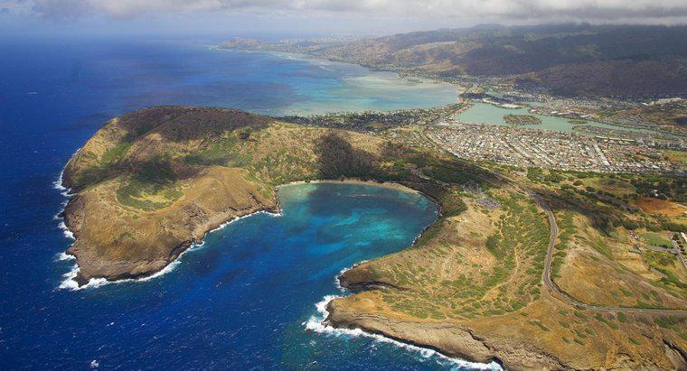Care stat se află la nord de Hawaii?