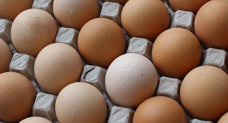 Care este valoarea nutritivă a unui ou?
