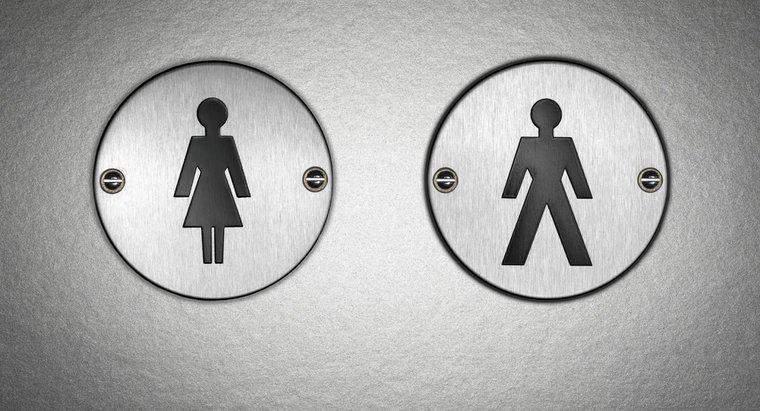 Poti sa spui diferenta dintre urina masculina si feminina?