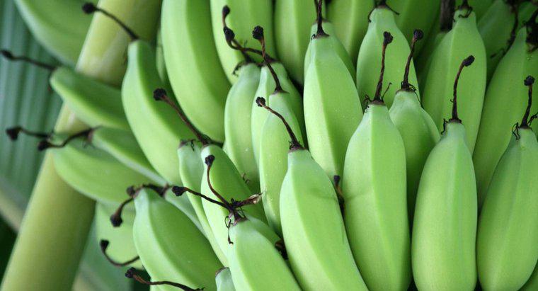 Cât timp durează bananele să se prăjească?