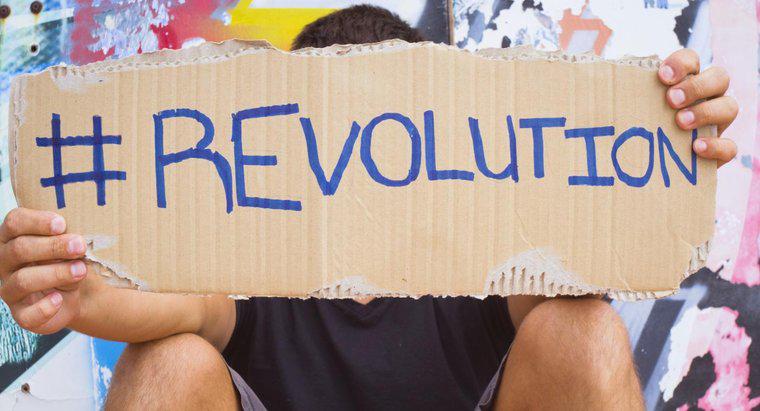 Care sunt unele cauze comune ale revoluției în istorie?