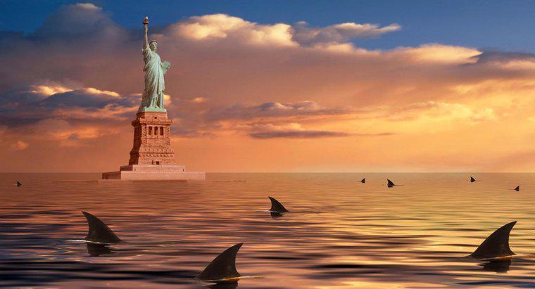 Care bate mai mulți oameni: rechini sau New York-i?