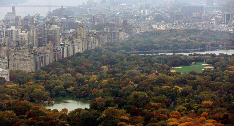 Care este dimensiunea parcului central din New York?