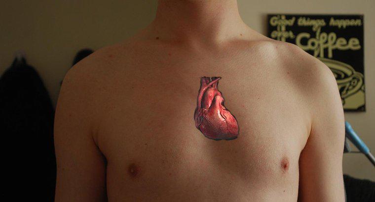 De ce inima este considerată o pompă dublă?