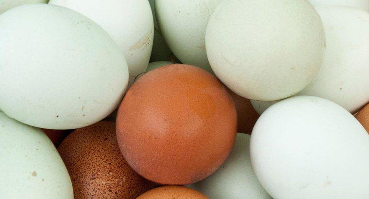 Care este superstiția despre găsirea unui ou sângeros?