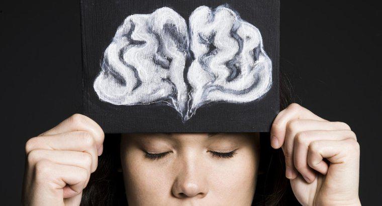 Care este funcția Lobului frontal al creierului?