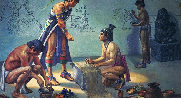 Cum au adaptat aztecii la mediul lor?