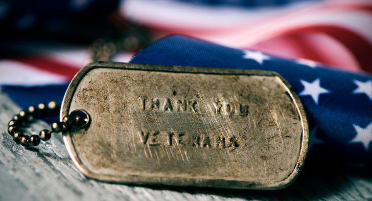 Sărbători 101: De ce sărbătorim ziua veteranilor?