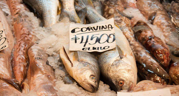 Cum gătiști peștele Corvina?