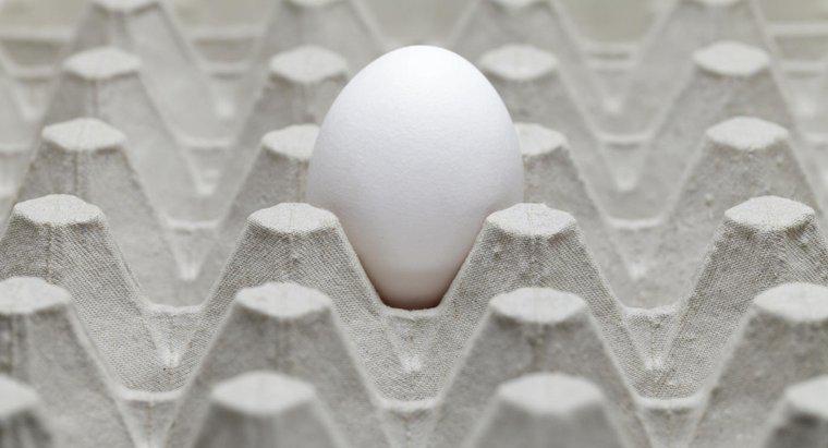 Ce cauzează un miros de ou rotten într-o casă?