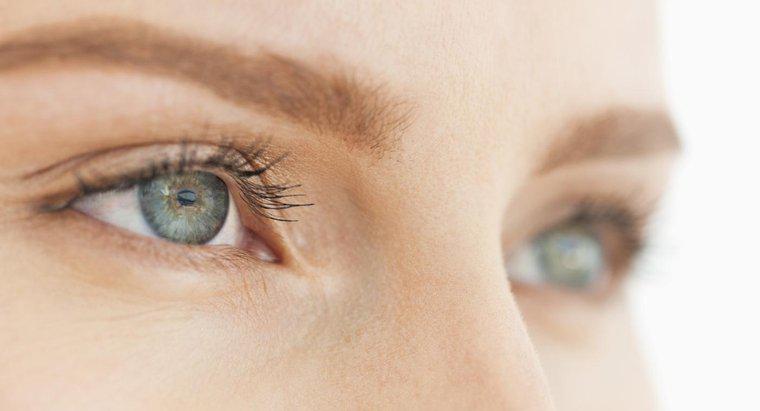 Care sunt principalele funcții ale ochiului?