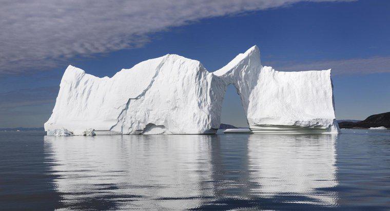 Care sunt unele fapte interesante despre Icebergs?