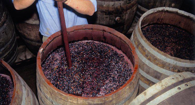 Care sunt cele două tipuri principale de fermentație?