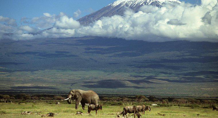 Cum a fost formată muntele Kilimanjaro?