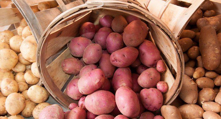 Cât de multe cromozomi fac cartofii?