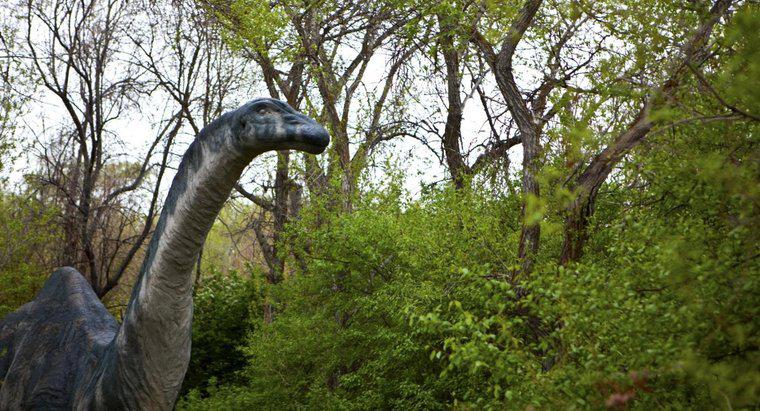 De ce a fost schimbat numele Brontosaurusului la Apatosaurus?