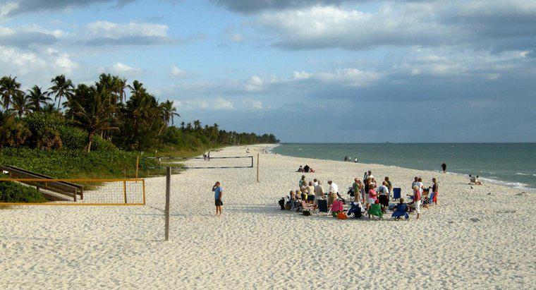 Care sunt cele mai bune plaje din coasta de vest din Florida?