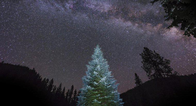 Care este cel mai mare copac de Crăciun din lume?