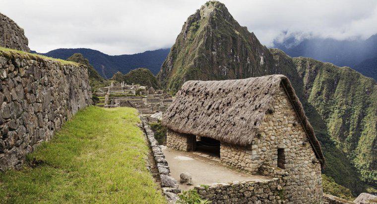 Ce au trăit incaii?