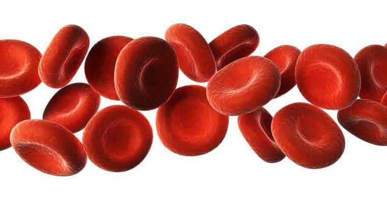 Care sunt cele șase substanțe transportate prin sânge?