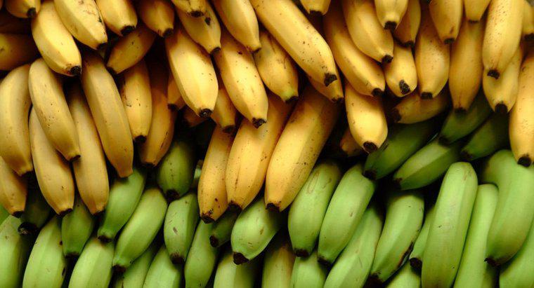 Bananele sunt bune pentru diabetici?