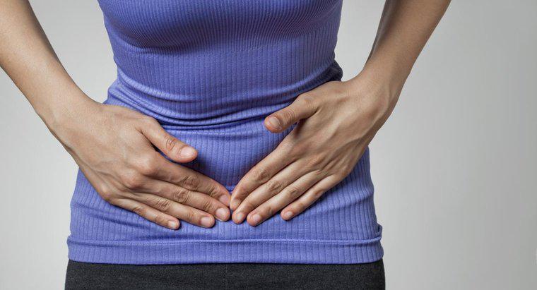 Ce face ficatul in sistemul digestiv?