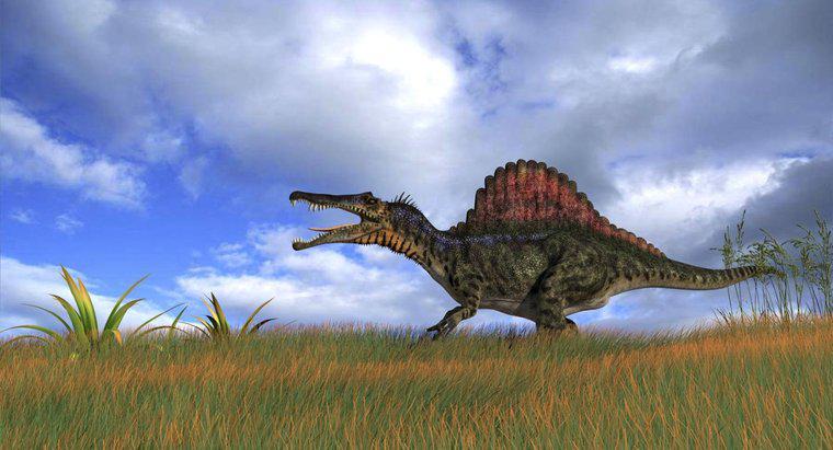 Care a fost cel mai mare dinozaur carnivoros?