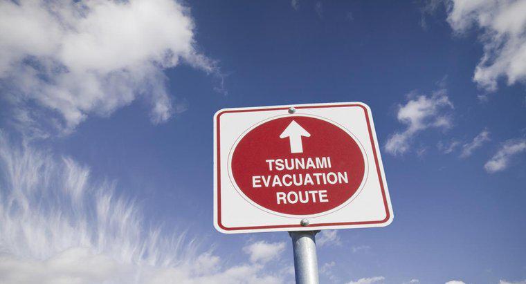 Cum te pregătești pentru un tsunami?