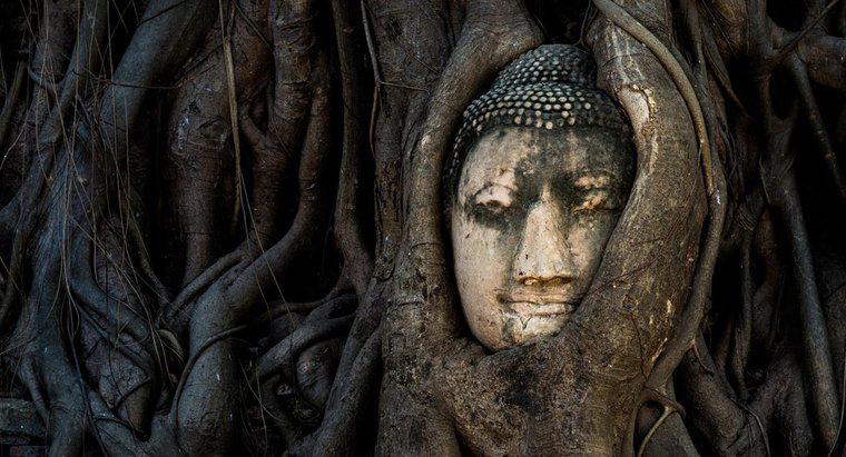 Care este semnificația Buddha plângând?