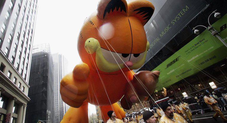 Ce rasă de pisică este Garfield?