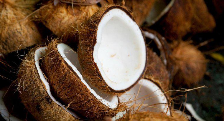 Cât de multe calorii are o nucă de cocos au?