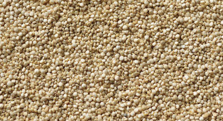 Care este conținutul de aminoacizi al Quinoa?