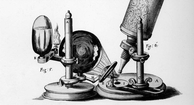 Care a fost contribuția lui Robert Hooke?