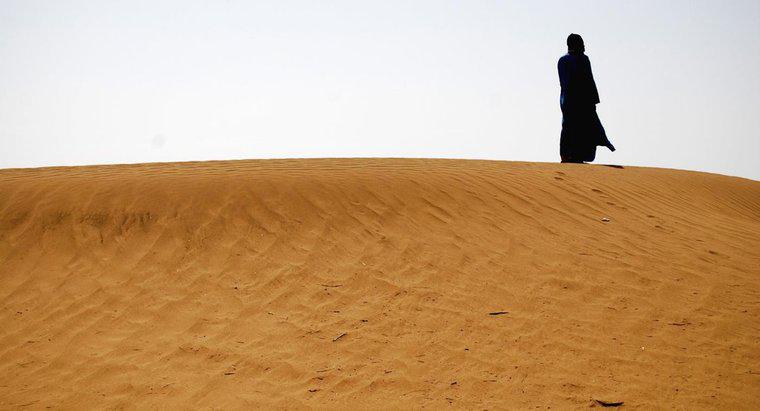 Cât de fierbinte poate ajunge în deșertul Sahara în timpul verii?