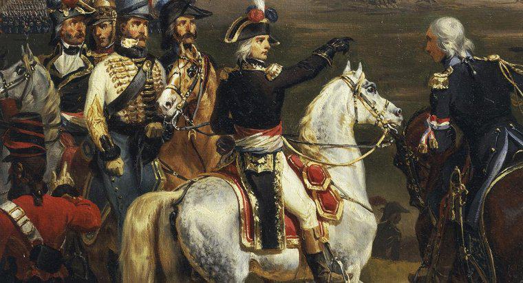 Ce țări au cucerit Napoleon?