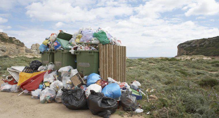 Care sunt unele dintre efectele eliminării necorespunzătoare a deșeurilor?