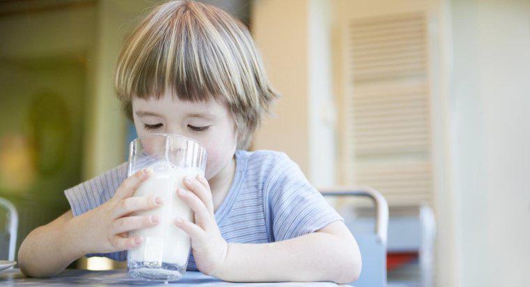 Puteți bea lapte în timp ce pe antibiotice?