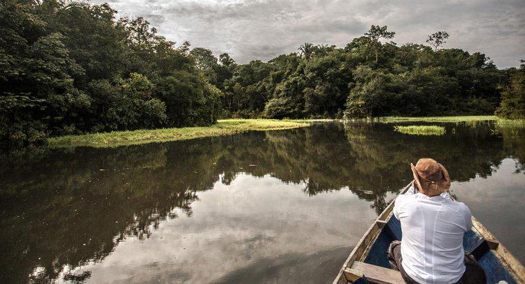 Cât de profund este râul Amazon?