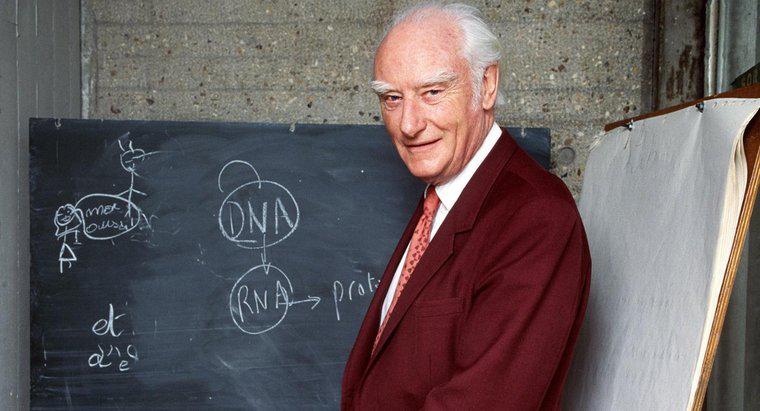 Francis Crick a folosit LSD?